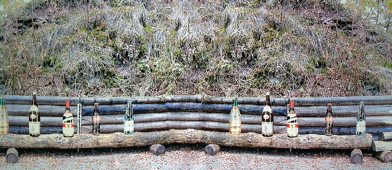 Flaschen auf Baumstamm