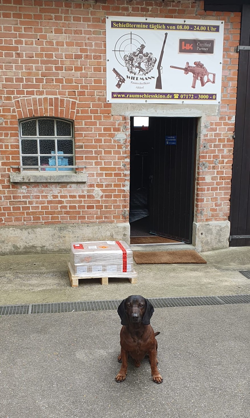 Wachhund Alf - Raumschiesskino Alfdorf -